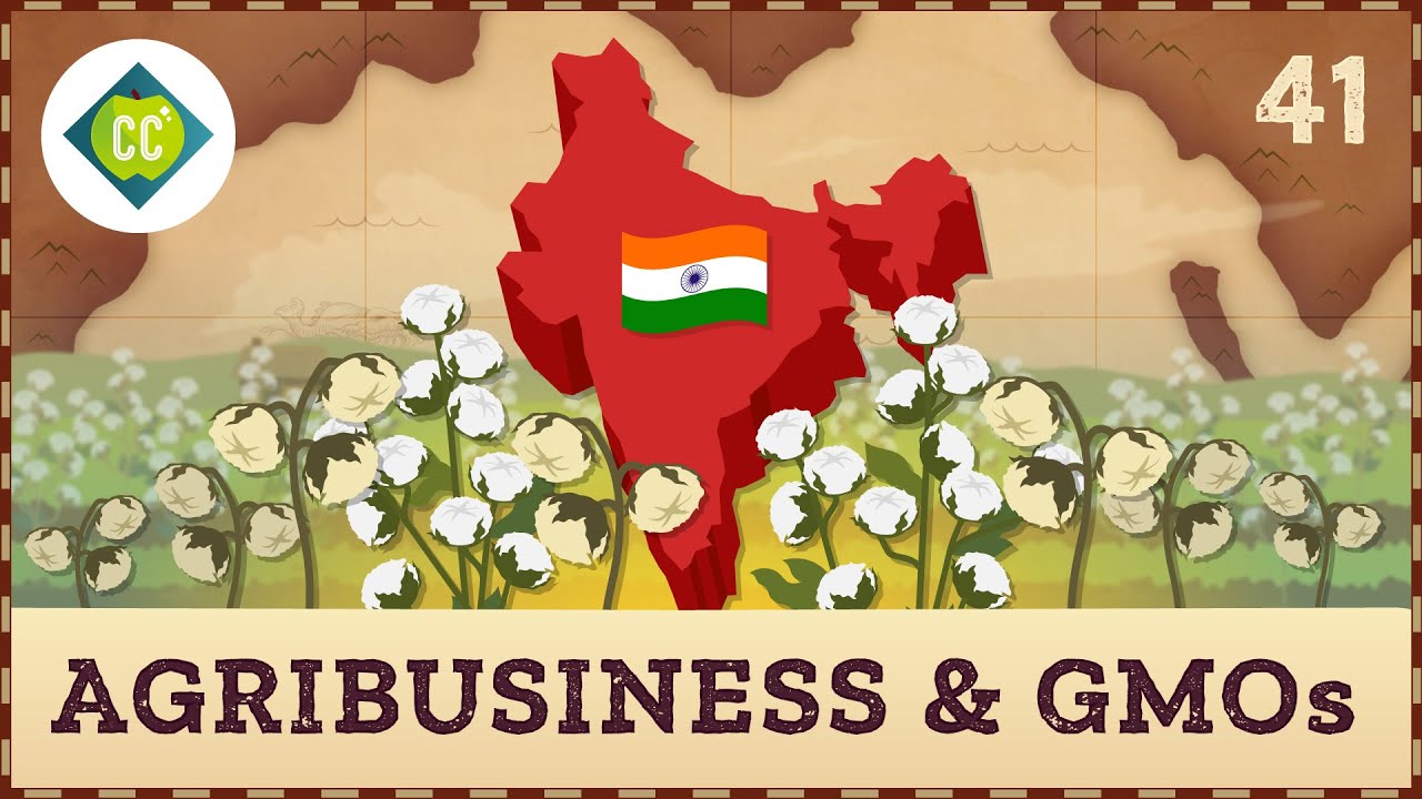 Agribusiness Gmos And Their Role In Development: Crash Course Geography #41