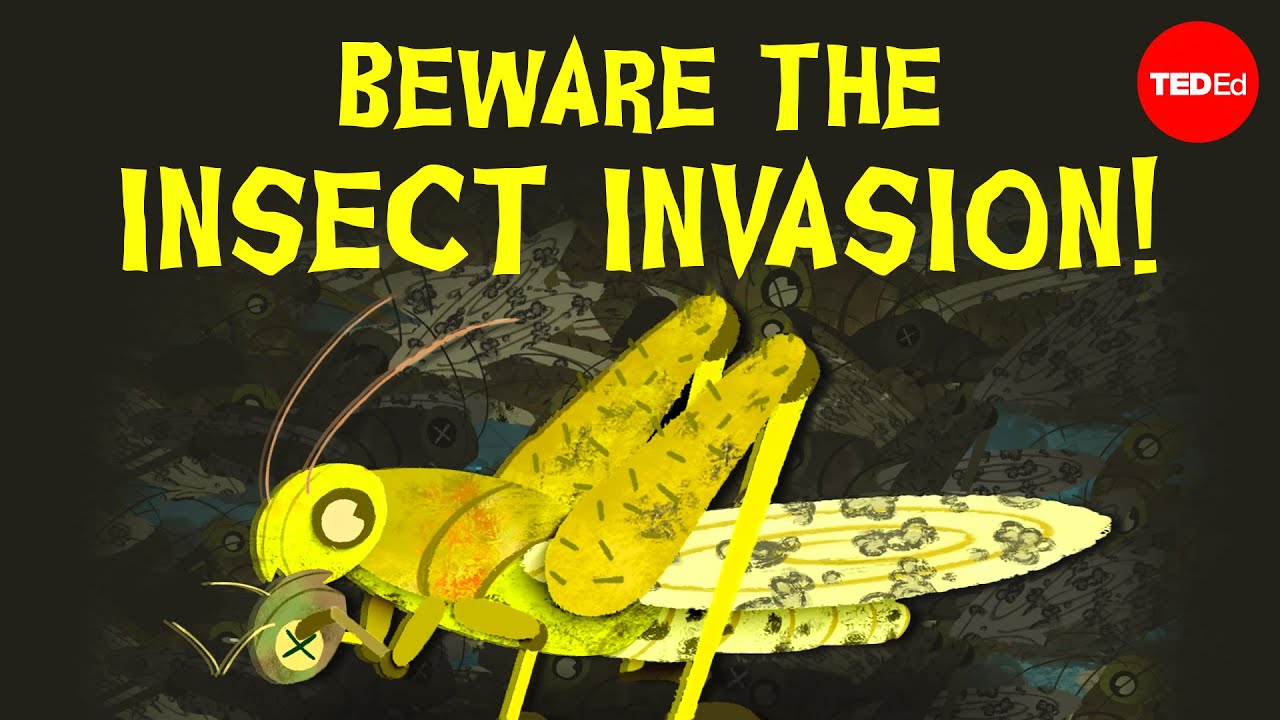 Are Locust Plagues Unstoppable? - Jeffrey A. Lockwood
