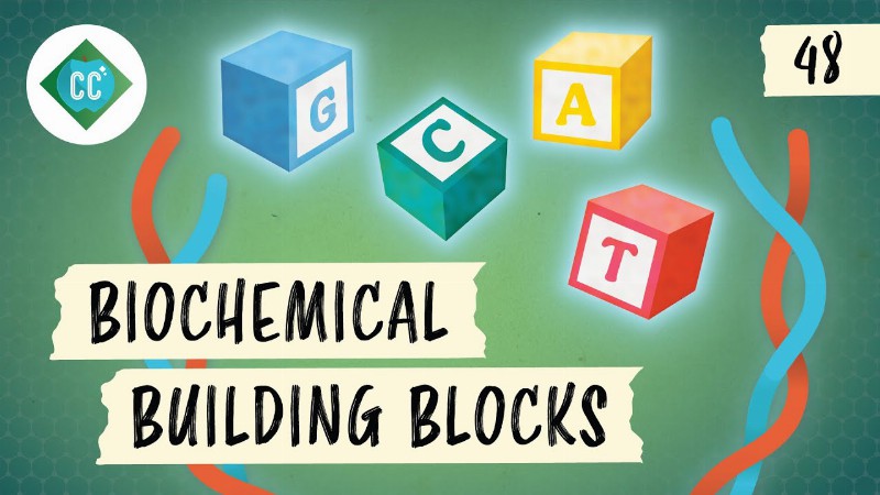 image 0 Biochemical Building Blocks & Fischer And Haworth Projections: Crash Course Organic Chemistry #48