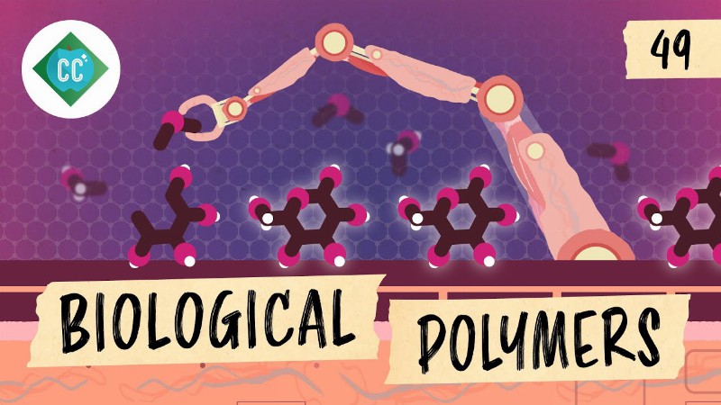 image 0 Biological Polymers: Crash Course Organic Chemistry #49