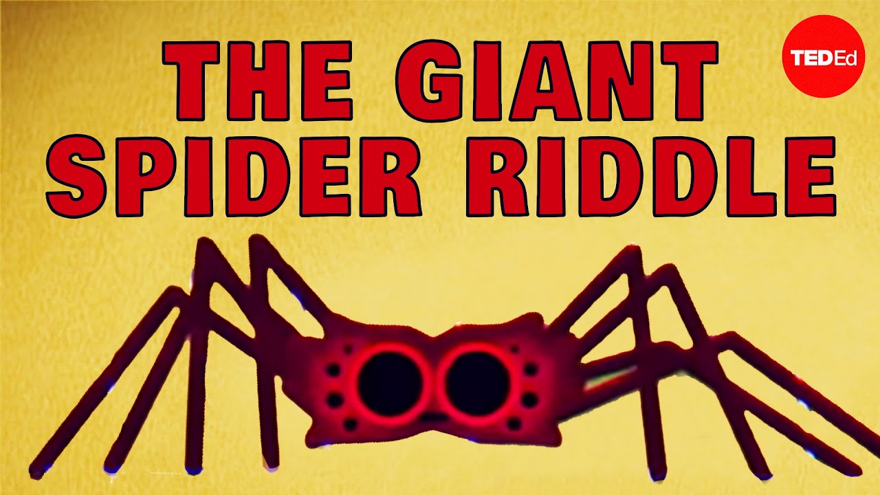 image 0 Can You Solve The Giant Spider Riddle? - Dan Finkel