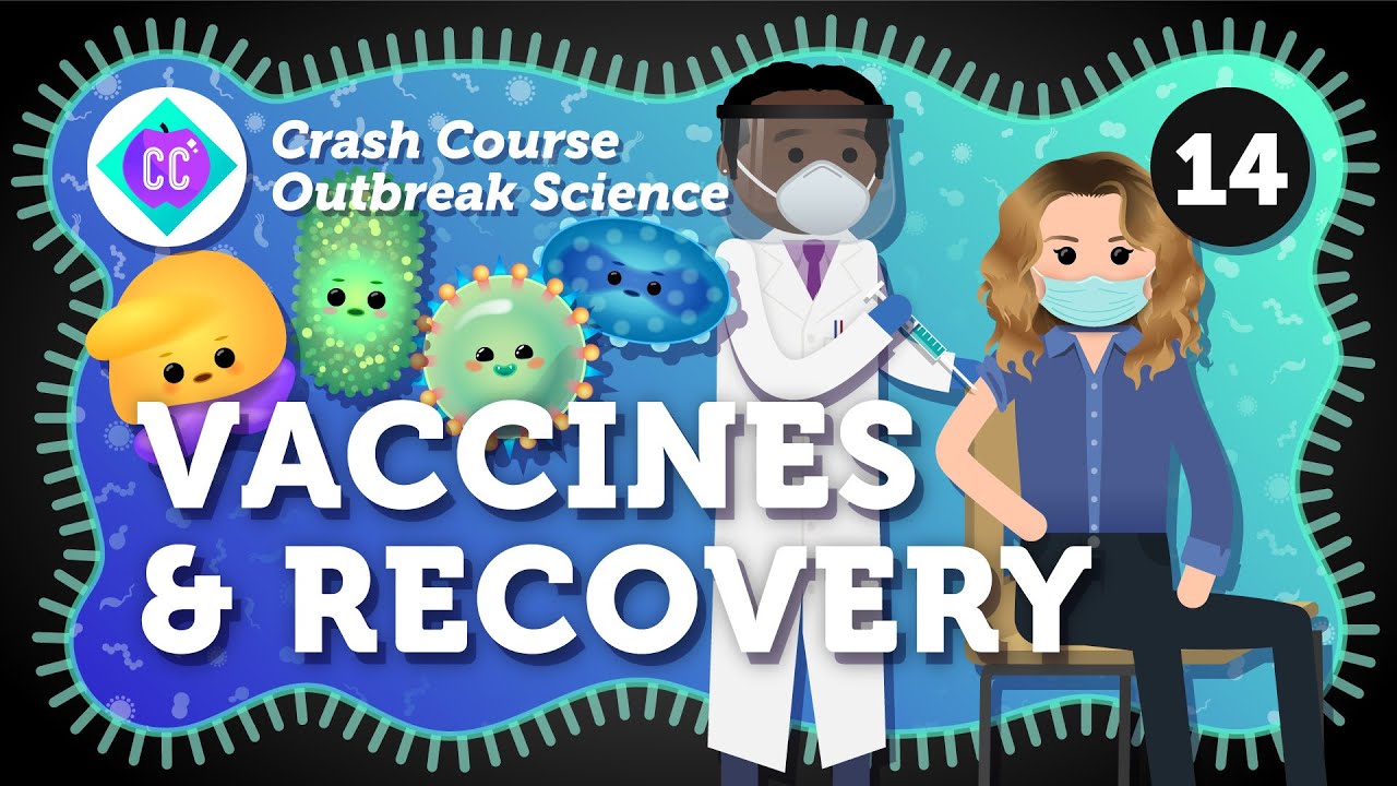 How Do Outbreaks End? Vaccines And Recovery: Crash Course Outbreak Science #14