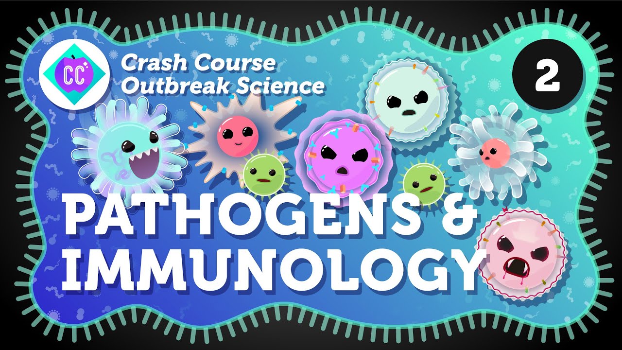 image 0 How Do Outbreaks Start? Pathogens And Immunology: Crash Course Outbreak Science #2