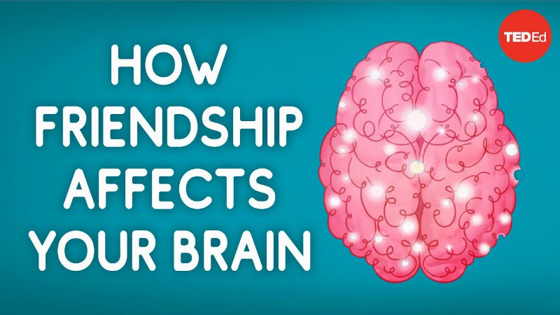 How Friendship Affects Your Brain - Shannon Odell
