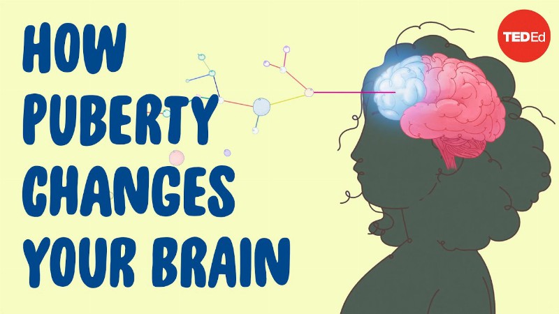 How Puberty Changes Your Brain - Shannon Odell