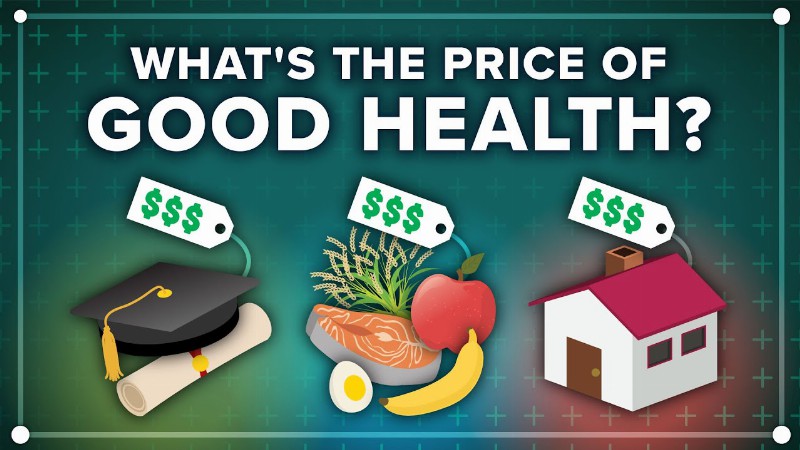 How Society Affects Your Health: Crash Course Public Health #4