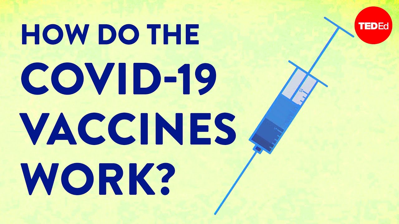 How The Covid-19 Vaccines Were Created So Quickly - Kaitlyn Sadtler And Elizabeth Wayne