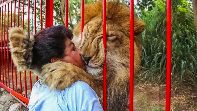 Incredible Animal Reunion Moments That Will Make You Cry