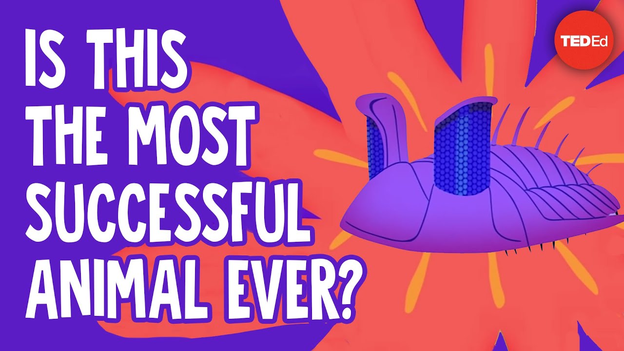 Is This The Most Successful Animal Ever? - Nigel Hughes