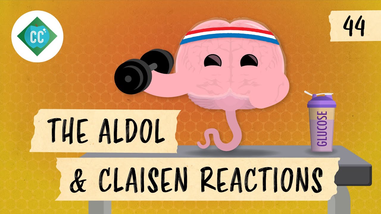 image 0 The Aldol And Claisen Reactions: Crash Course Organic Chemistry #44