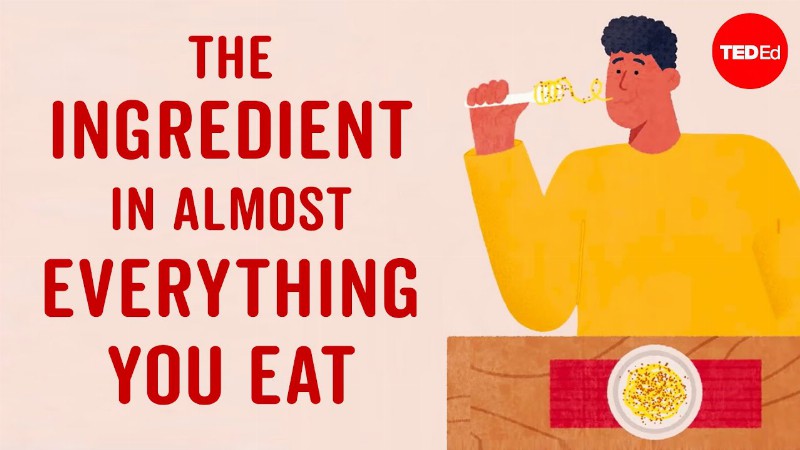 The Ingredient In Almost Everything You Eat - Francesca Bot