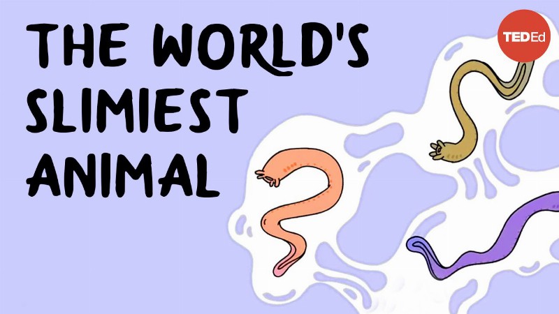 image 0 The World’s Slimiest Animal - Noah R. Bressman And Douglas Fudge