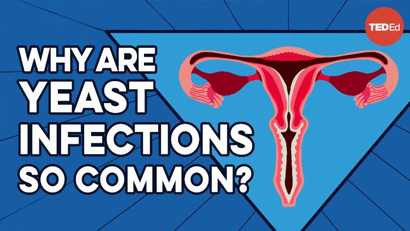 What Causes Yeast Infections And How Do You Get Rid Of Them? - Liesbeth Demuyser
