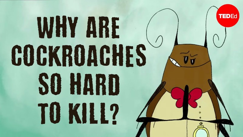 image 0 Why Are Cockroaches So Hard To Kill? - Ameya Gondhalekar
